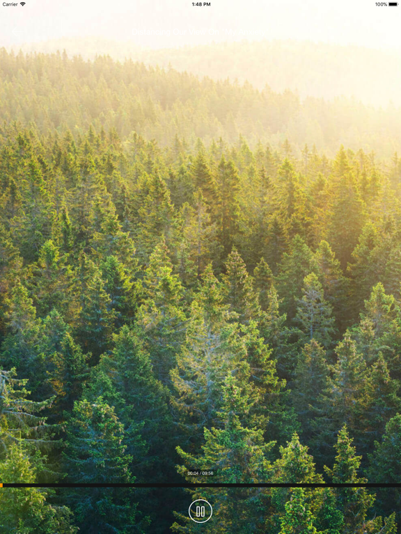 WellBrain Go iPad screenshot 2 - Medical app