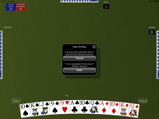 Pinochle Classic iPad screenshot 6 - Games app