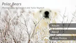 Game screenshot Album Polar Bears HD mod apk