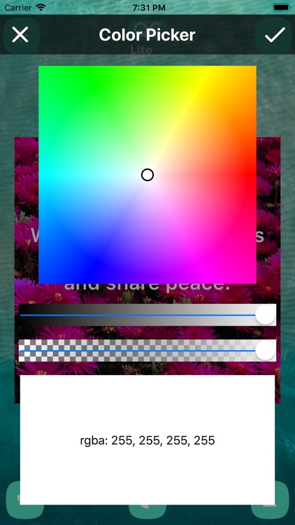 QC Lite screenshot-4