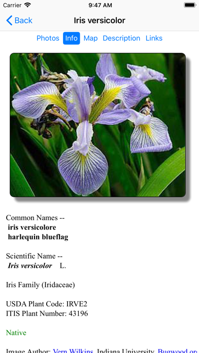 Screenshot #3 pour Quebec Wildflowers