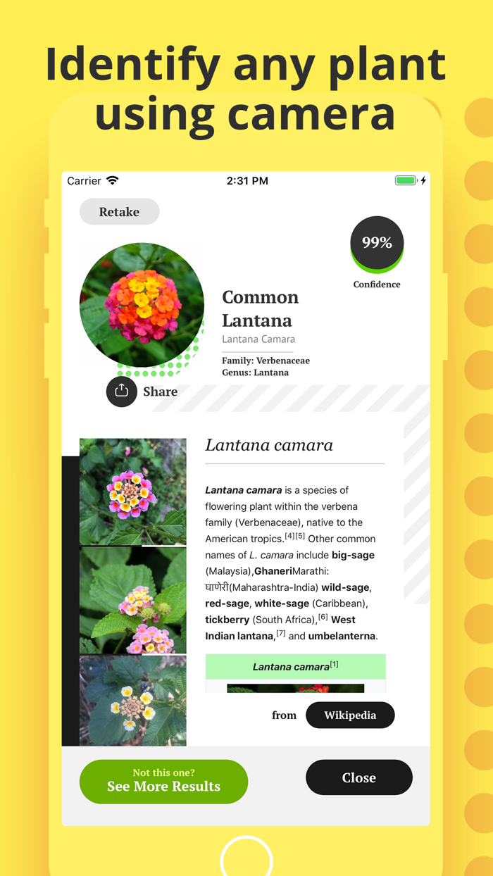 Plant Identification