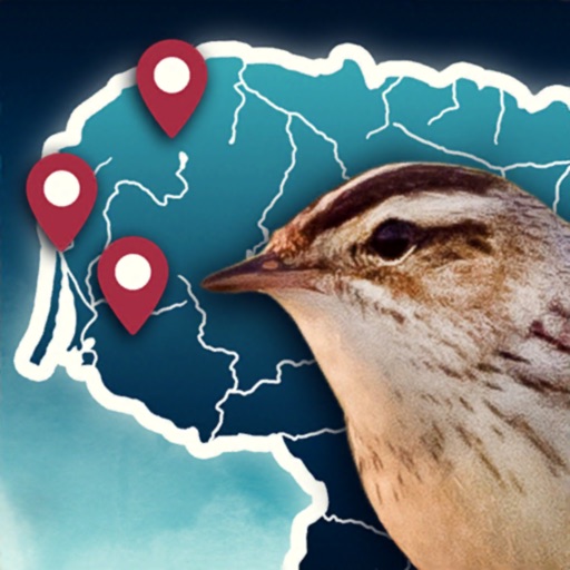 Birds Routes icon