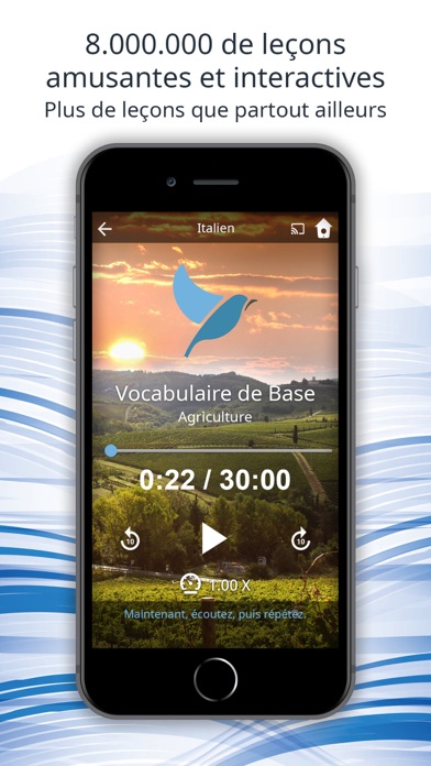 Screenshot #2 pour Bluebird: Learn 163 Languages