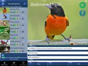 bird song id canada birdsongs ipad capturas de pantalla 1