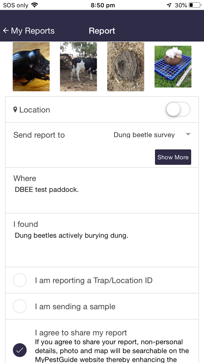MyDungBeetle Reporter