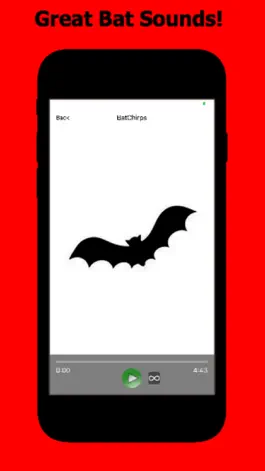 Game screenshot Bat Sounds & Bat Sounds Effect mod apk