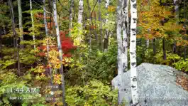 Game screenshot My Gallery mod apk