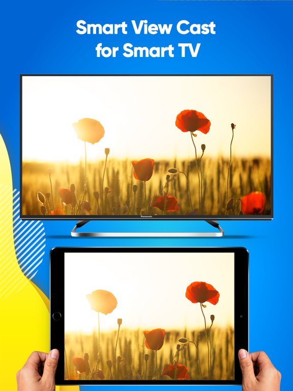 Screenshot #4 pour Caster l'écran sur un Smart TV