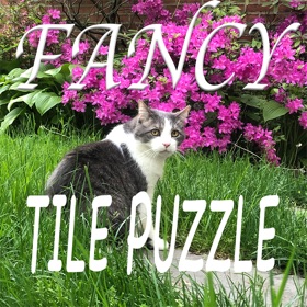 螢幕擷取畫面 (8) Fancy Tile Puzzle