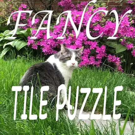 Fancy Tile Puzzle Cheats