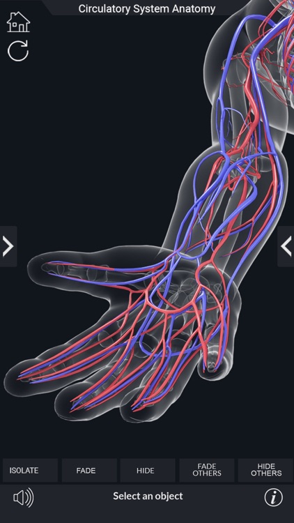 My Circulatory System Anatomy screenshot-4
