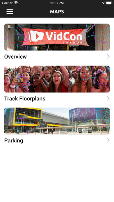 VidCon London 2020 screenshot 3