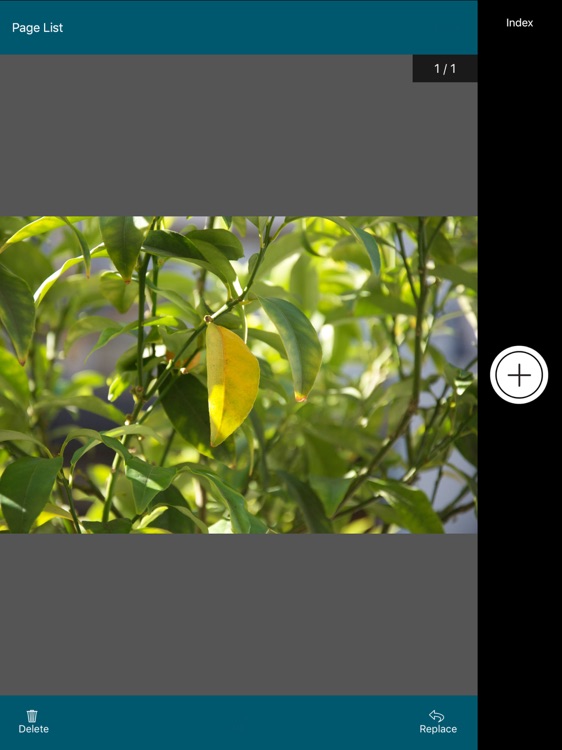 OnBase Mobile 18 for iPad screenshot-3