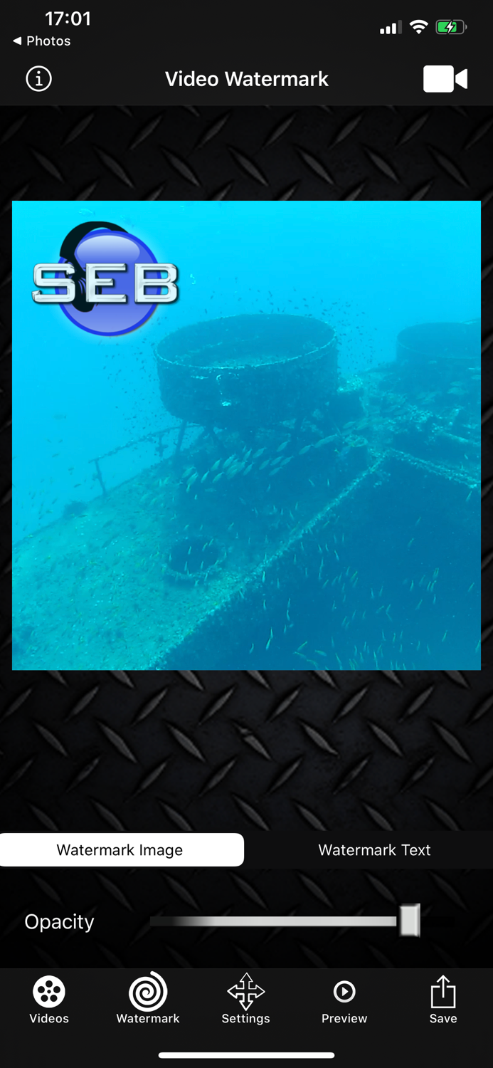 Video Watermark