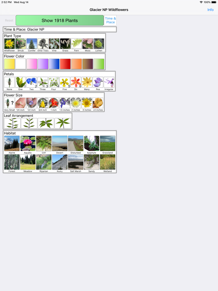 Glacier Wildflower Search