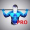 Calisthenics Pro: