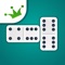 With our Dominoes, you'll play against opponents from all over the world in our multiplayer mode