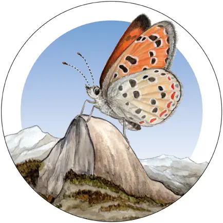 Yosemite Butterflies Cheats