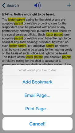 NY Family Court Act 2026 iPhone image 4