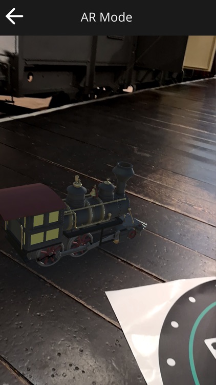 Museum Team Investigates