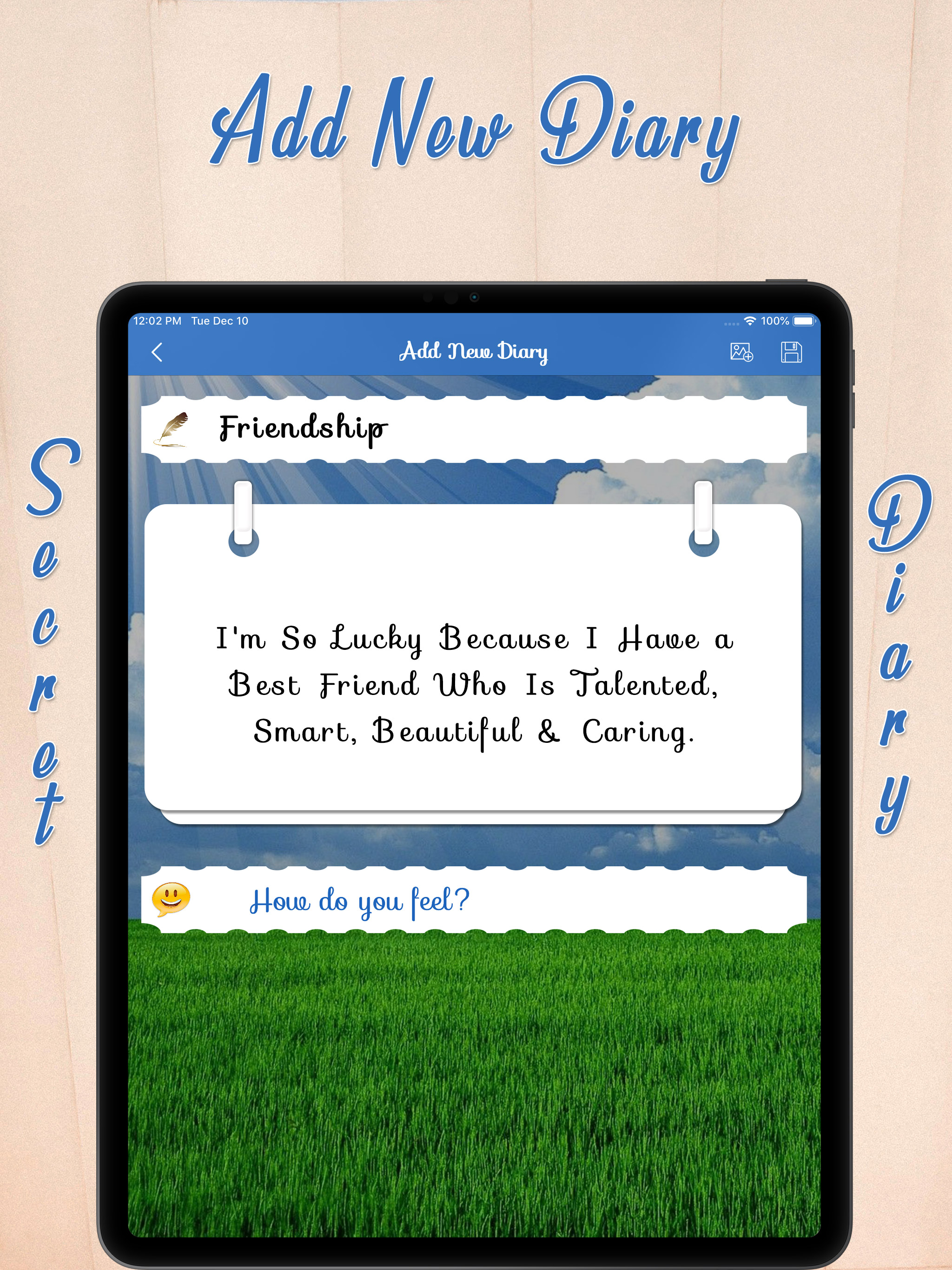 My Password Secret Diary screenshot 16