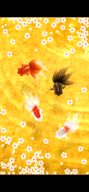 Wa Kingyo - Japon Balığı Göleti Ekran Görüntüsü