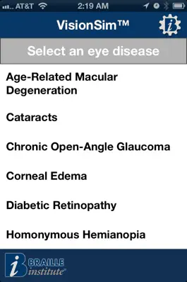Game screenshot VisionSim by Braille Institute mod apk