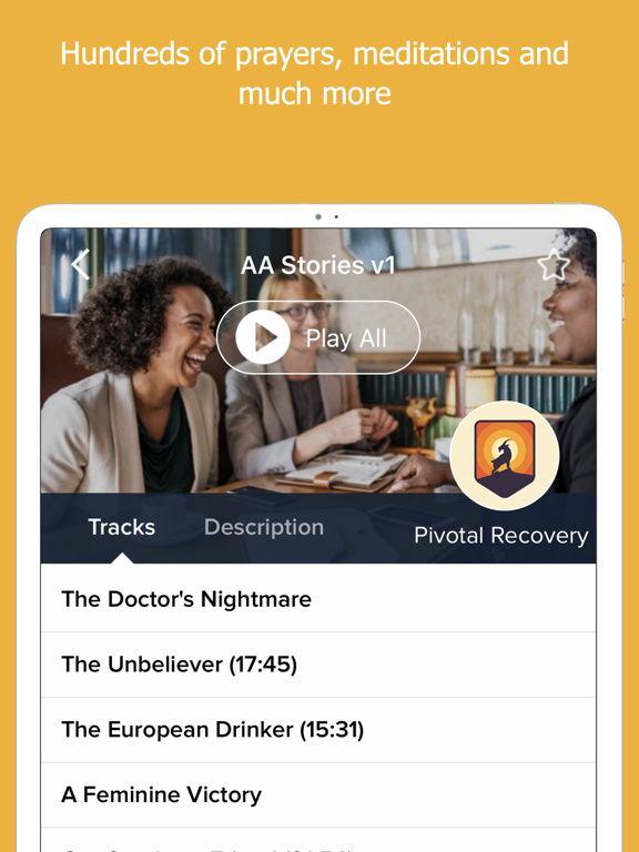 AA Big Book Ultimate Companion iPad screenshot 5 - Lifestyle app