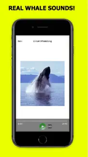 whale sounds! iphone screenshot 1