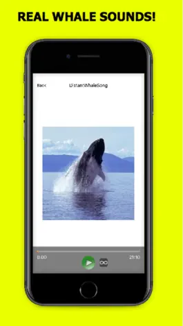 Game screenshot Whale Sounds! mod apk