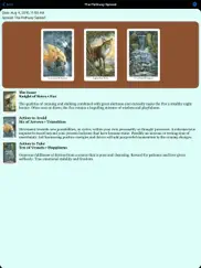 wildwood tarot ipad images 4