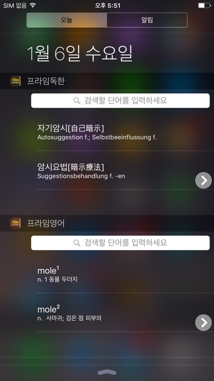 프라임 독한/신한독사전 screenshot-4