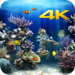 Aquarium 4K