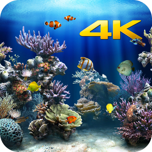 Aquarium 4K для Мак ОС