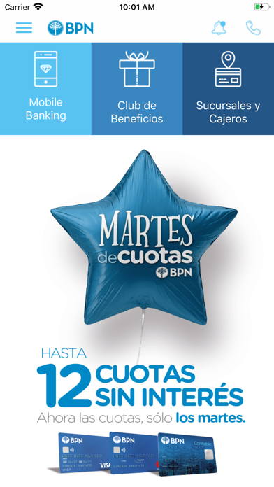 Screenshot #2 pour BPN