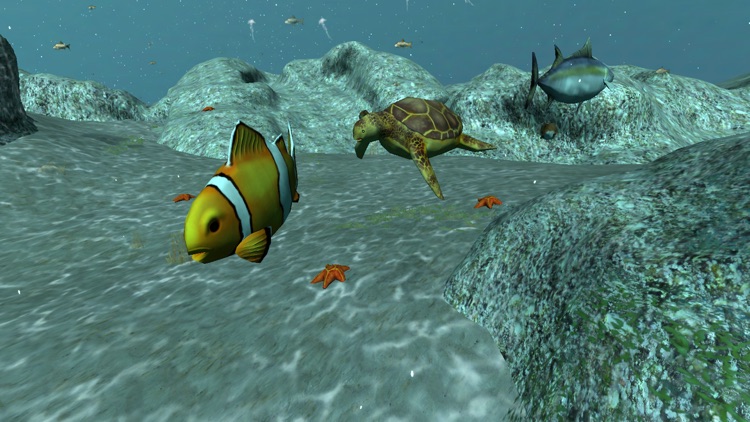 Real Fish Simulator