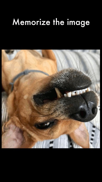 Slide Puzzle Wear - Watch Game