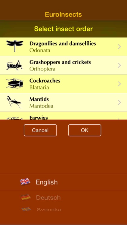 EuroInsects screenshot-4