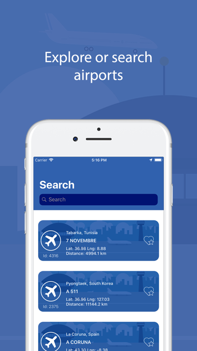 Aviation: Airport's Overview Screenshot