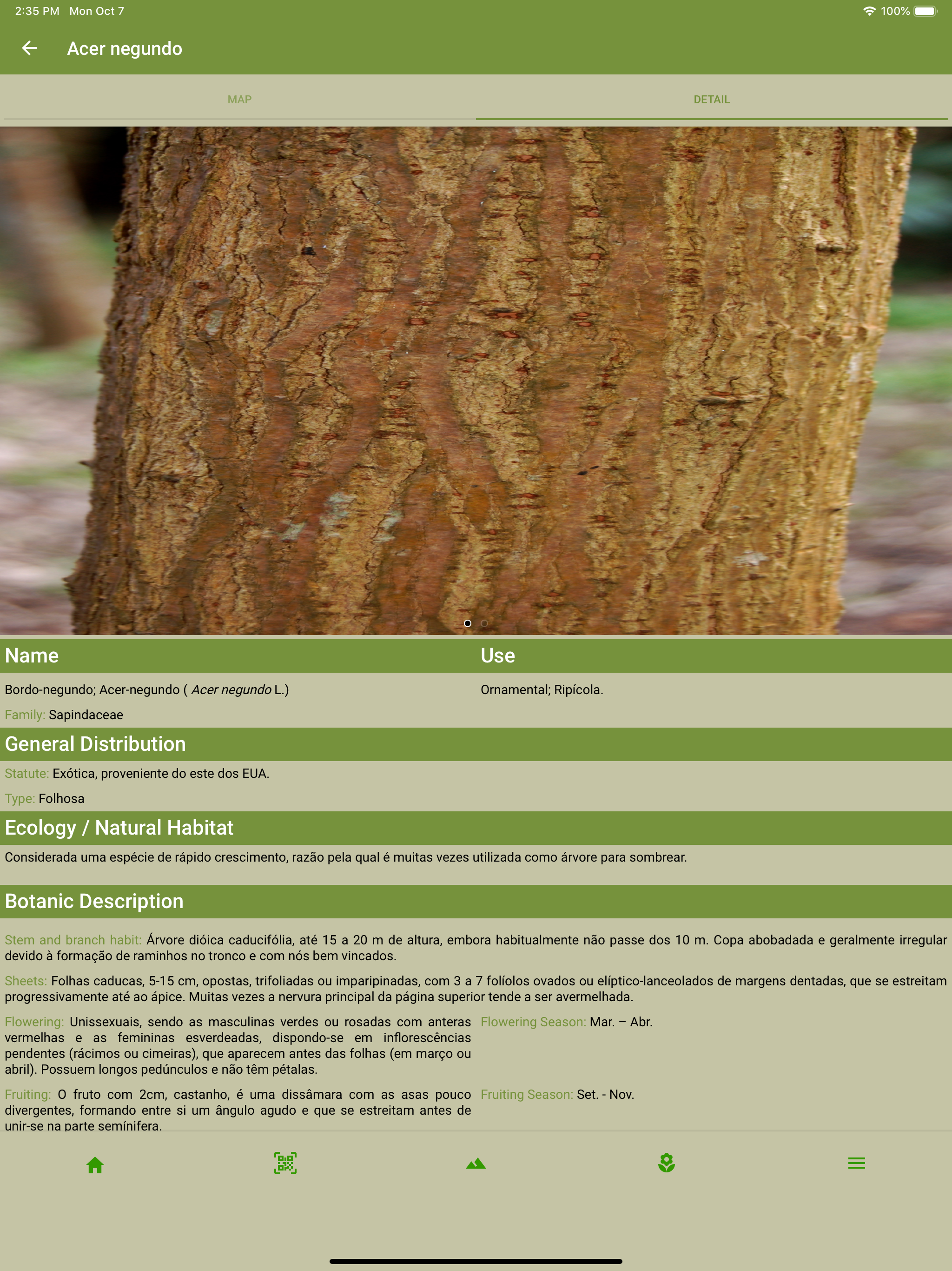 Azores Forest Parks screenshot 14