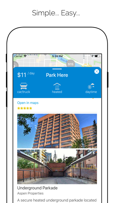 ParkChamp Screenshot