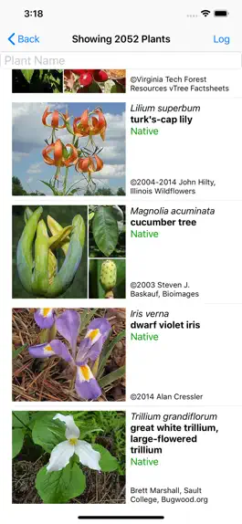 Game screenshot Smoky Mountains Wildflowers apk