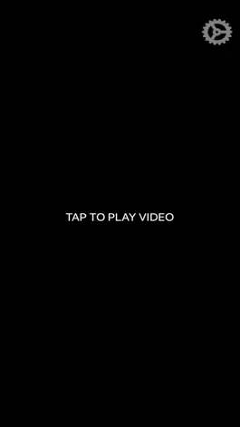 Game screenshot Museum Loop Video Player apk