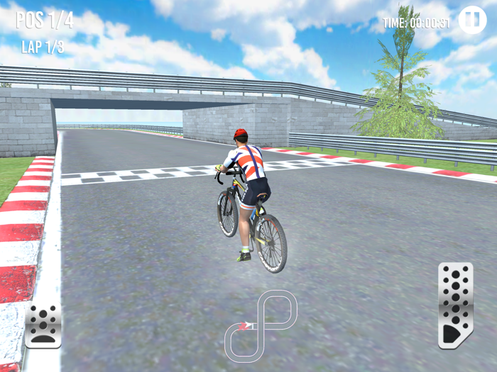Bicycle Racing Cup 3D