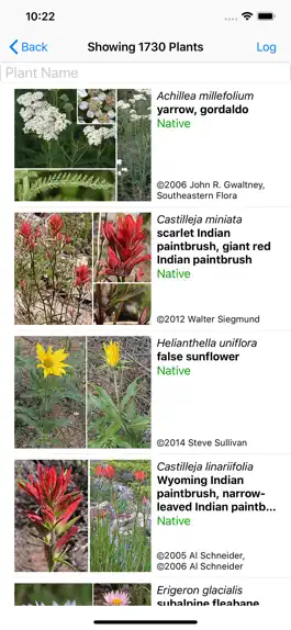 Game screenshot Wyoming Wildflowers apk