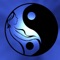 This is a guided meditation which is intended to help you visualise the creation of a new life using manifesting meditation techniques and helping to remove any negativity or doubt that can occur when experiencing fertility issues