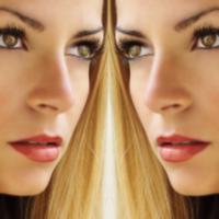 Flipper - Mirror Image Photo