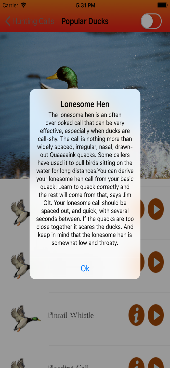 Duck Hunting Calls -