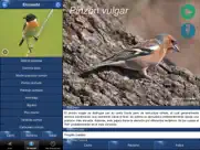 cantos de aves id ipad bildschirmfoto 4